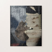 Cat on Fence #9 (Personalize Quote)