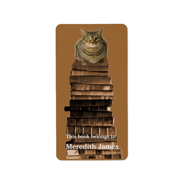 Cat on Stack of Books Buchzeichen Adressaufkleber (Vorne)