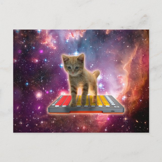 Cat on synthesizers in space postkarte (Vorderseite)
