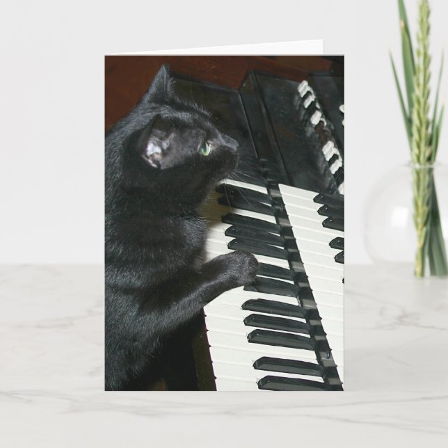 Cat Organ Erwägungsgrund Karte (Vorderseite)