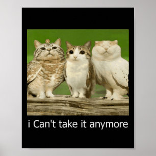 Cat Owl Funny Meow Ich kann es nicht mehr nehmen Poster