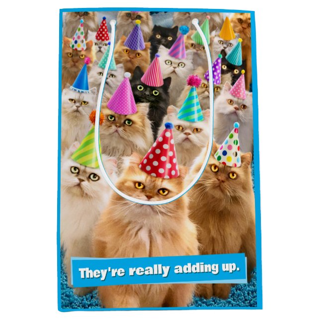 Cat Party Mittlere Geschenktüte (Vorderseite)