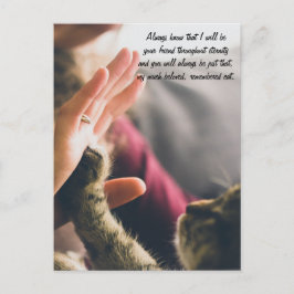 Cat Paw High-Five Postkarte
