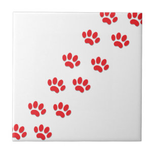 Cat Paws Feet Fliese