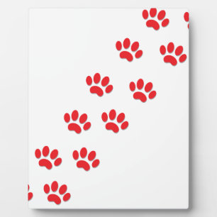Cat Paws Feet Fotoplatte