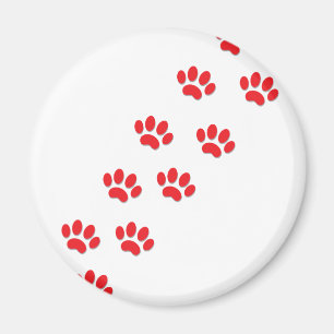 Cat Paws Magnet
