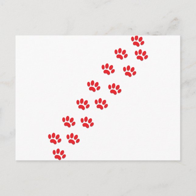 Cat Paws Postkarte (Vorderseite)