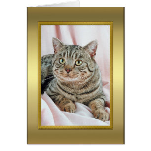 Cat Pedigree Card