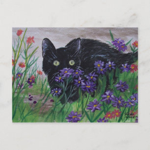 Cat Peeking Postcard Postkarte