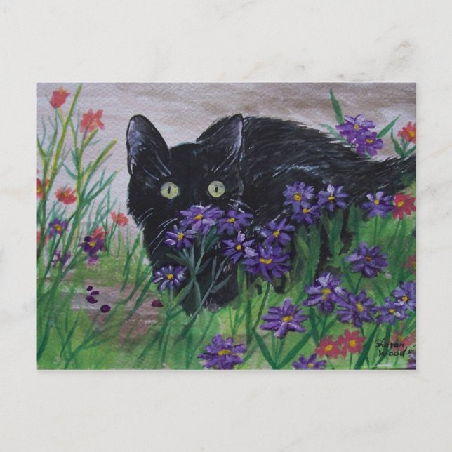 Cat Peeking Postcard Postkarte (Vorderseite)