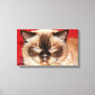 CAT PERSIAN SLEEEPED STRETCHED LEINWAND