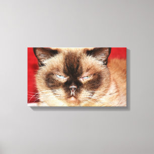 CAT PERSIAN SLEEEPED STRETCHED LEINWAND
