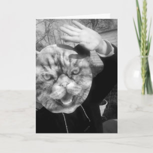 CAT PERSON FUNNY BIRTHDAY GREETING CARDS KARTE