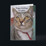 Cat Personalisiert Daughter Geburtstag Karte<br><div class="desc">Grußkarte Tabby Katz Tochter Geburtstagskarte. Passen Sie diese Geburtstagskarte mit jedem beliebigen Text an und lassen Sie sie dann ausdrucken und an Sie senden oder laden Sie sie sofort auf Ihr Mobiltelefon herunter. Wenn Sie Hilfe bei der Anpassung benötigen, kontaktieren Sie uns über den Link auf dieser Seite. Katze personalisierte...</div>