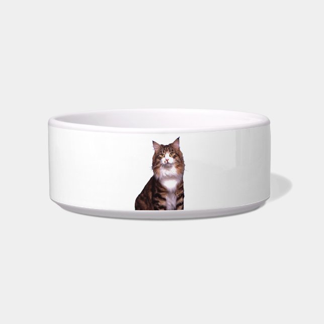 Cat Pet Bowl Napf (Vorderseite)