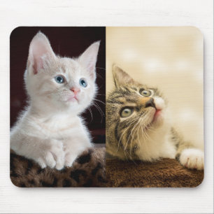 Cat Pet Foto Personalisiert Mousepad