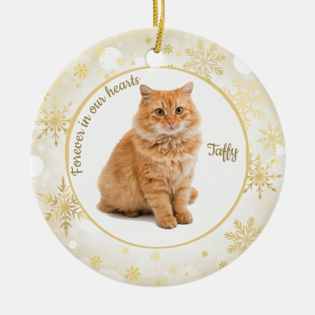 Cat Pet Memorial Ornament (Vorne)