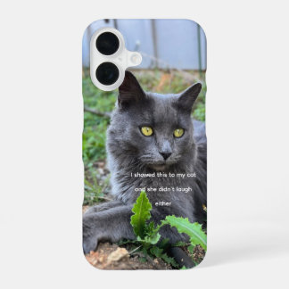 cat phone case iPhone 16 hülle