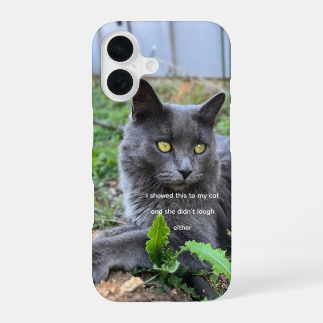 cat phone case  iPhone 16 hülle (Rückseite)