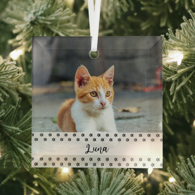 Cat Photo Holiday Keepsake for Pet Lovers Ornament Aus Glas (Insitu)