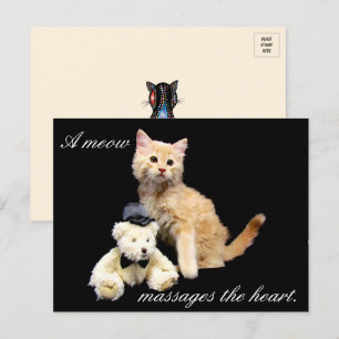 Cat Pic - Sundrop und Teddy Bear Postkarte