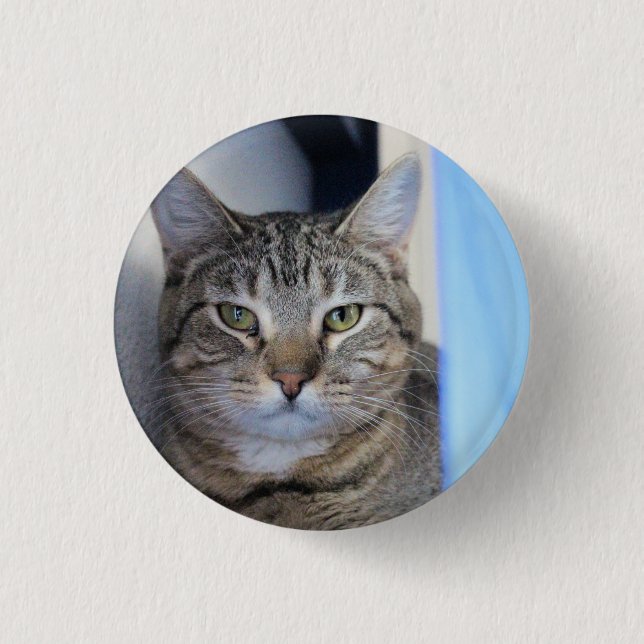 Cat Ping Pong Ball Button (Vorderseite)