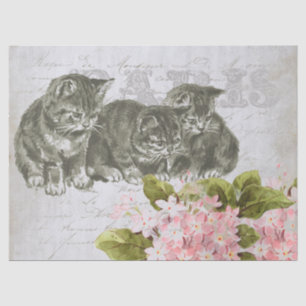 Cat Pink Blume Französisch Script Paris Decoupage Seidenpapier