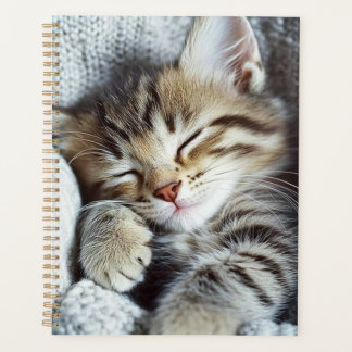 Cat planner planer