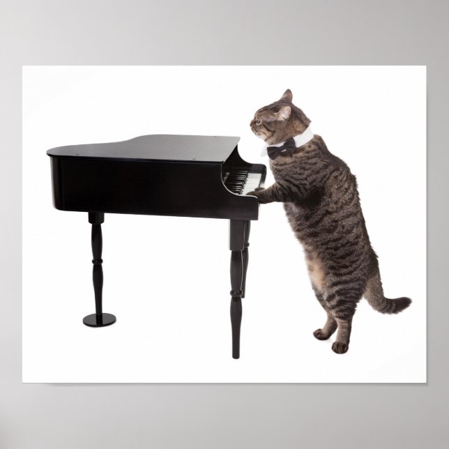 Cat Playing Piano Poster (Vorne)