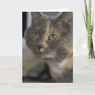 Cat Portrait Card Karte