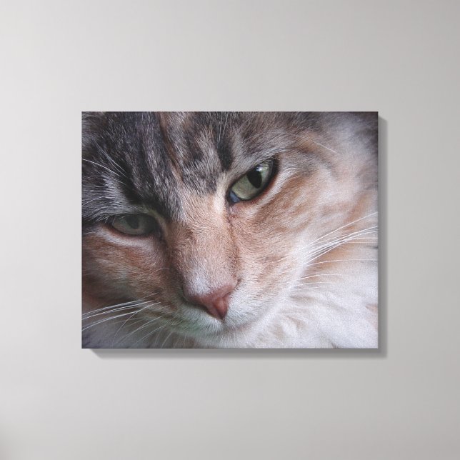 Cat Portrait Leinwanddruck (Vorderseite)