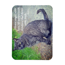 Cat posiing II Motivierend buddhistisches Zitat Magnet
