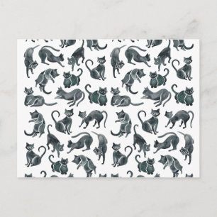 Cat-Positionen - Schwarze Palette Postkarte