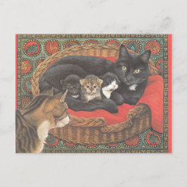 Cat Postcards Postkarte