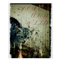 Cat Poster - Young and Wild