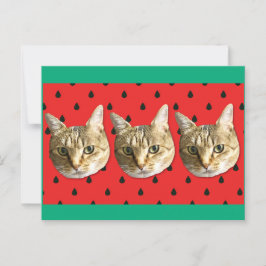 cat postkarte