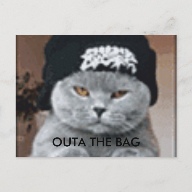 CAT POSTKARTE (Vorderseite)