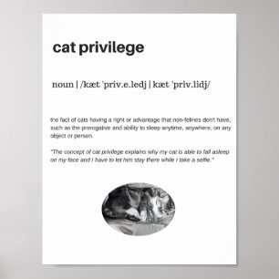 Cat privilege funny quote white poster