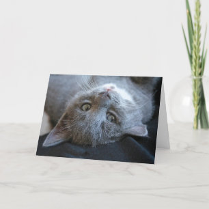 Cat Purday Card Karte