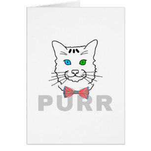 Cat Purr