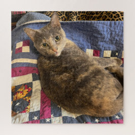 Cat Puzzle