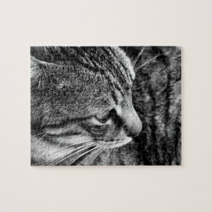 Cat Puzzle