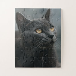 Cat Puzzles