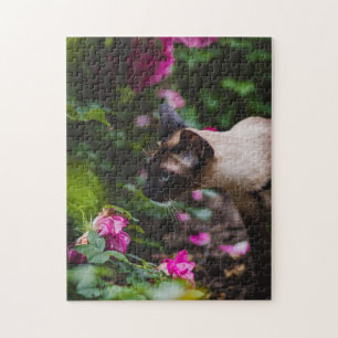 Cat Puzzles Cat Kitten Fotografie Tierische Grafik