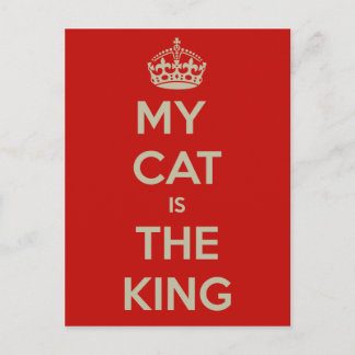 Cat Qoute Postkarte