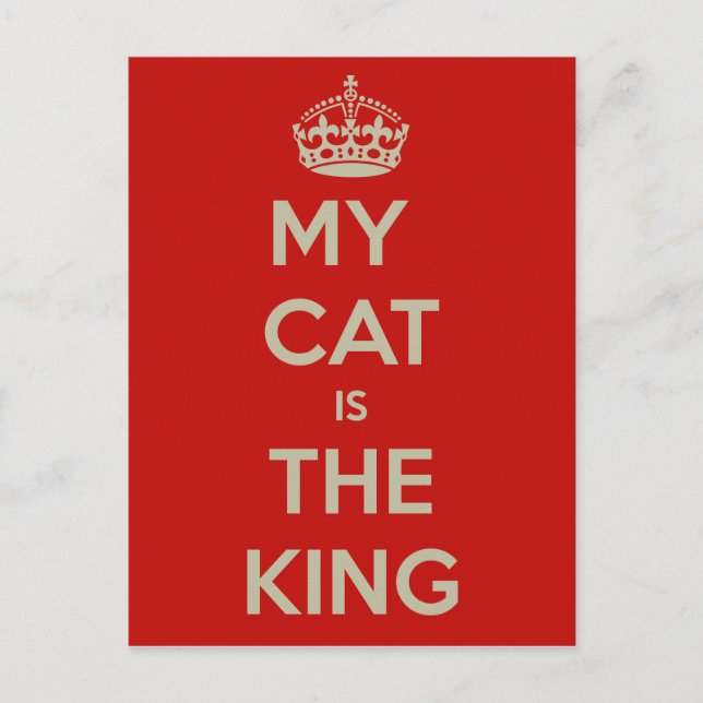 Cat Qoute Postkarte (Vorderseite)