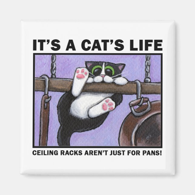 Cat Rack v.01 - Es sind Lebensmagnete einer Katze Magnet (Vorne)