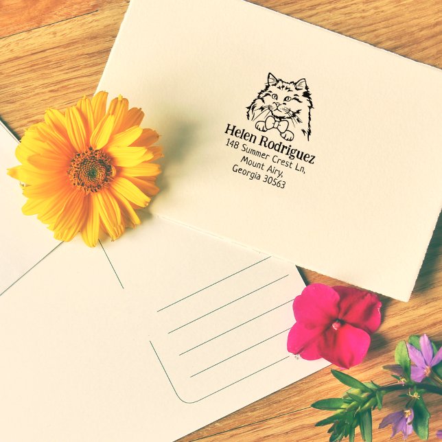 Cat Rag Doll Rücksendeadresse Gummistempel (Von Creator hochgeladen)