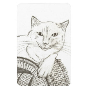 Cat Ragdoll Portrait Flexible Magnet