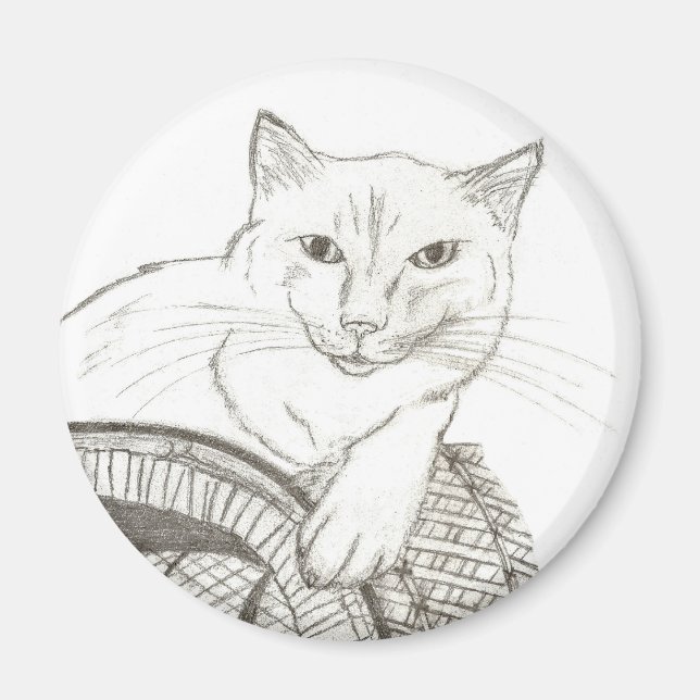 Cat Ragdoll Portrait Magnet (Vorne)